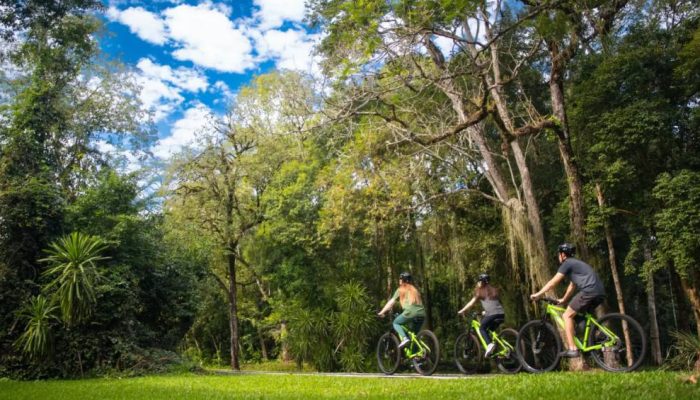 bike-foz.jpg bike-foz.jpg