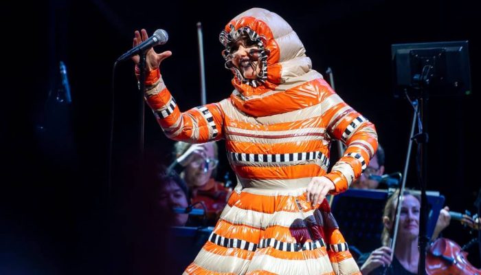 bjork-show.jpg