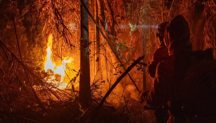 brigadistas_combate_fogo_no_para_1.jpg brigadistas_combate_fogo_no_para_1.jpg
