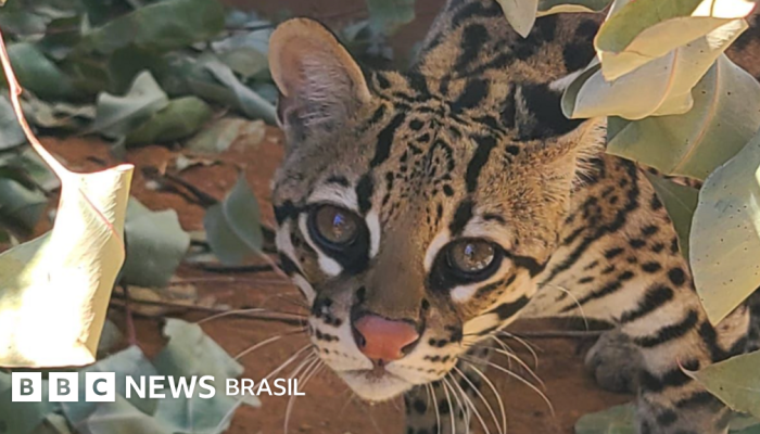 c5e17820-8a75-11f0-84c8-99de564f0440.png c5e17820-8a75-11f0-84c8-99de564f0440.png