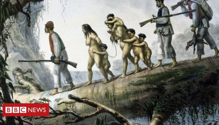 c7347110-0e0a-11f0-ac9f-c37d6fd89579.jpg c7347110-0e0a-11f0-ac9f-c37d6fd89579.jpg