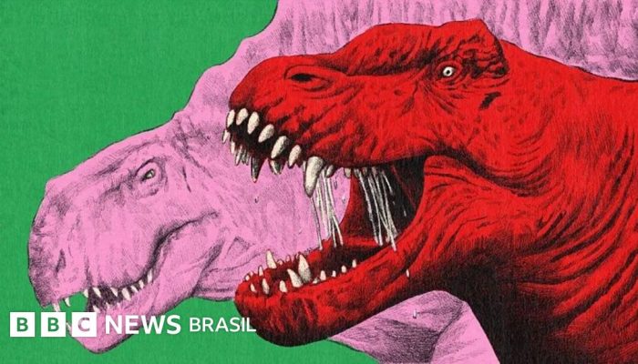 ca8ac790-52e0-11f0-a2ff-17a82c2e8bc4.jpg ca8ac790-52e0-11f0-a2ff-17a82c2e8bc4.jpg