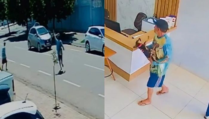 cachorro-atropelado.jpg