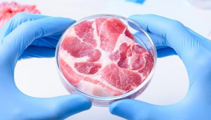 carne-cultivada-em-laboratorio-e-o-novo-inimigo-do-ambiente-1551048977541_v2_615x300.jpg