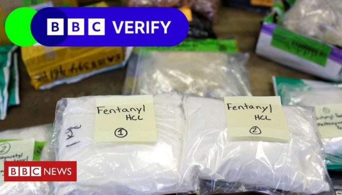 cd24e7e0-e2e9-11ef-a83b-bf768968ed36.jpg cd24e7e0-e2e9-11ef-a83b-bf768968ed36.jpg