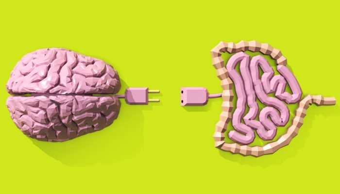 cerebro-intestino.jpg