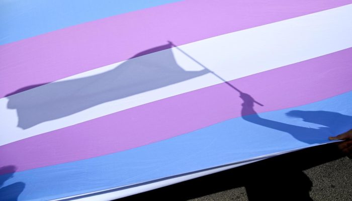 cfm-tratamento-pessoas-trans-bandeira.jpg cfm-tratamento-pessoas-trans-bandeira.jpg