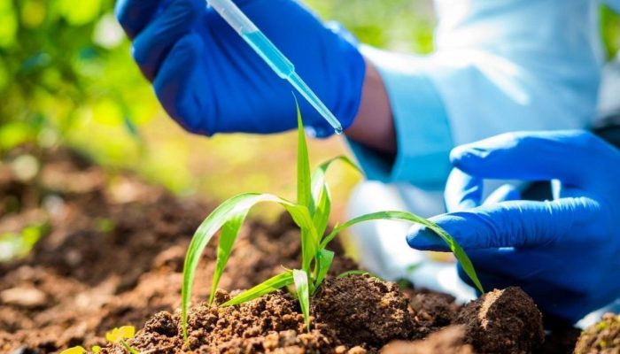 cropdata1.jpg