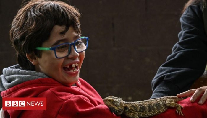 d0329b50-37d3-11f0-a4af-73821f3ada00.jpg d0329b50-37d3-11f0-a4af-73821f3ada00.jpg