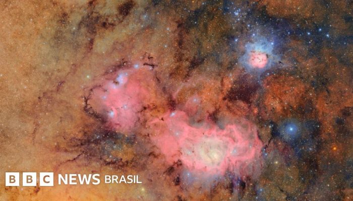 d674edd0-4dfc-11f0-86d5-3b52b53af158.jpg d674edd0-4dfc-11f0-86d5-3b52b53af158.jpg