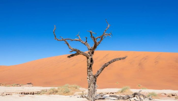 deadvlei-sossusvlei-namibia.jpg