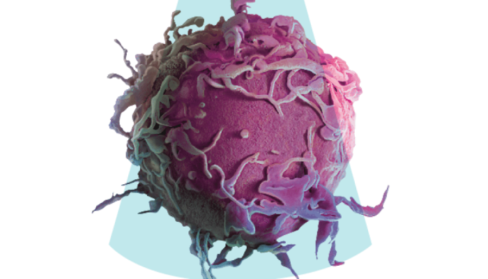 dia-mundial-de-combate-cancer.png dia-mundial-de-combate-cancer.png