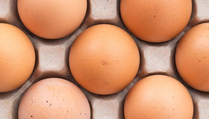 dieta-do-ovo-cuidados.jpg dieta-do-ovo-cuidados.jpg