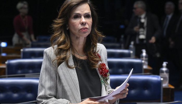 dorinha-seabra-relator-piso-professores.jpg