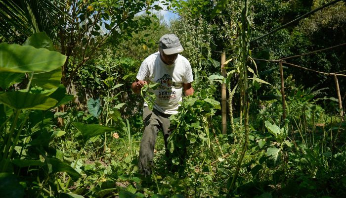 dsc7867_0.jpg dsc7867_0.jpg