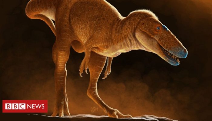 e2cb0d90-46ad-11f0-9471-e380f647874e.jpg e2cb0d90-46ad-11f0-9471-e380f647874e.jpg