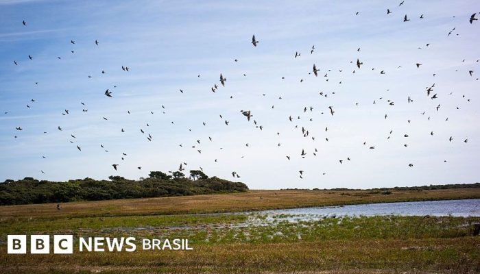 e6519560-9d56-11f0-928c-71dbb8619e94.jpg e6519560-9d56-11f0-928c-71dbb8619e94.jpg