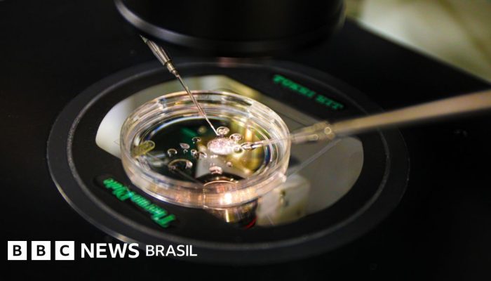 e7051760-9dd9-11f0-9f23-2534d63ace40.jpg e7051760-9dd9-11f0-9f23-2534d63ace40.jpg