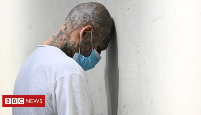 ed511010-0a8b-11f0-83c8-1195ae3f568d.jpg ed511010-0a8b-11f0-83c8-1195ae3f568d.jpg