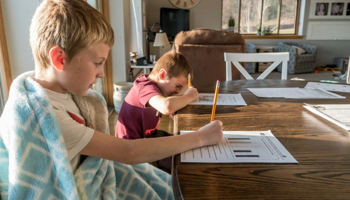 educacao-domiciliar-homeschooling.jpg