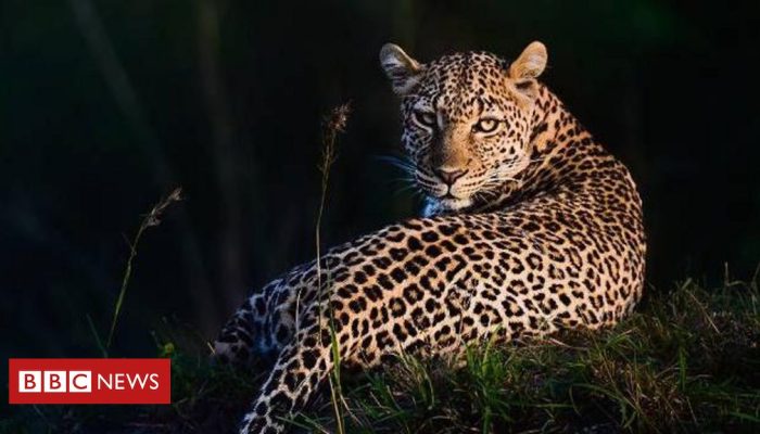 ef380ec0-17a0-11f0-8e92-794cc8da8125.jpg ef380ec0-17a0-11f0-8e92-794cc8da8125.jpg