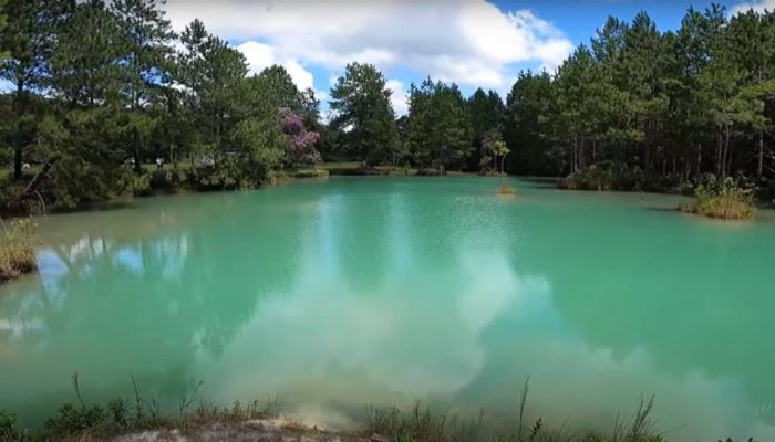 esmeralda.jpg esmeralda.jpg