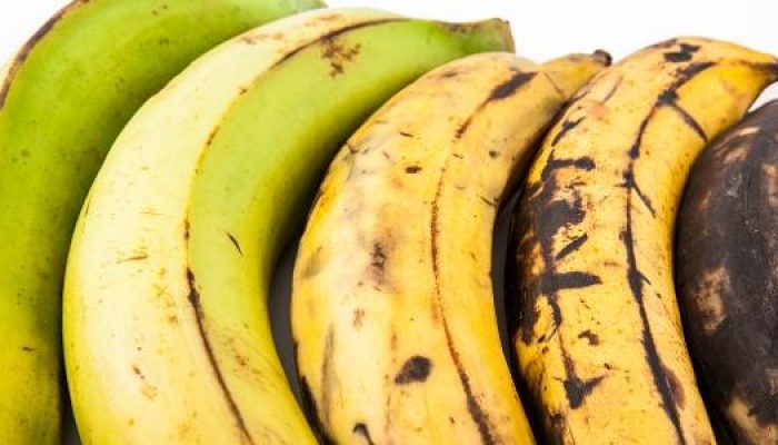 estagios-da-banana-1671119456450_v2_615x300.jpg estagios-da-banana-1671119456450_v2_615x300.jpg