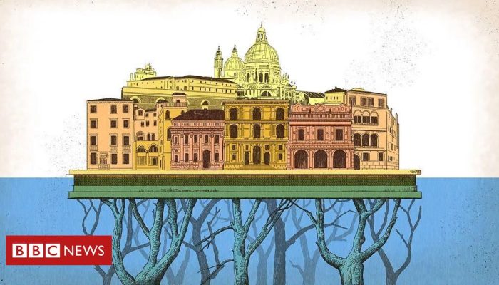 f4e74500-0e38-11f0-bfea-d170975f1d6a.jpg f4e74500-0e38-11f0-bfea-d170975f1d6a.jpg