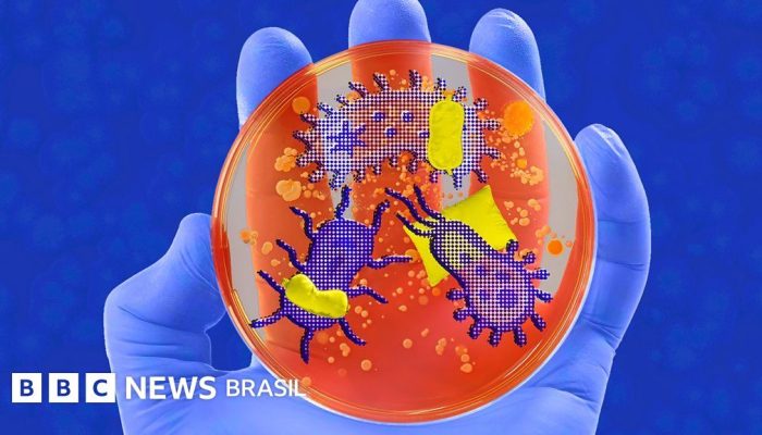 fcb00620-8f2d-11f0-9cf6-cbf3e73ce2b9.jpg fcb00620-8f2d-11f0-9cf6-cbf3e73ce2b9.jpg