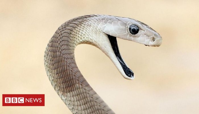 fe6df930-2737-11f0-afbf-ddff77f40225.jpg fe6df930-2737-11f0-afbf-ddff77f40225.jpg