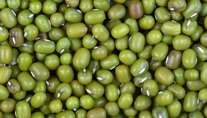 feijao-moyashi-beneficios-vigna-radiata.jpg feijao-moyashi-beneficios-vigna-radiata.jpg