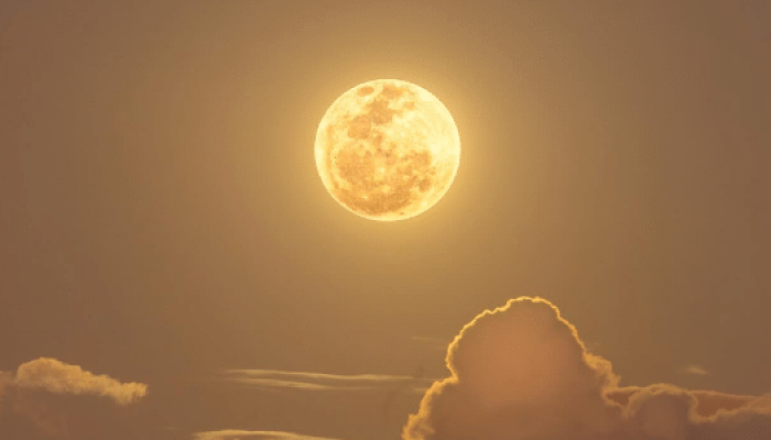 foto-da-lua-cheia-capturada-na-bahia-e-eleita-imagem-do-dia-pela-nasa-1752414553632_v2_615x300.png foto-da-lua-cheia-capturada-na-bahia-e-eleita-imagem-do-dia-pela-nasa-1752414553632_v2_615x300.png