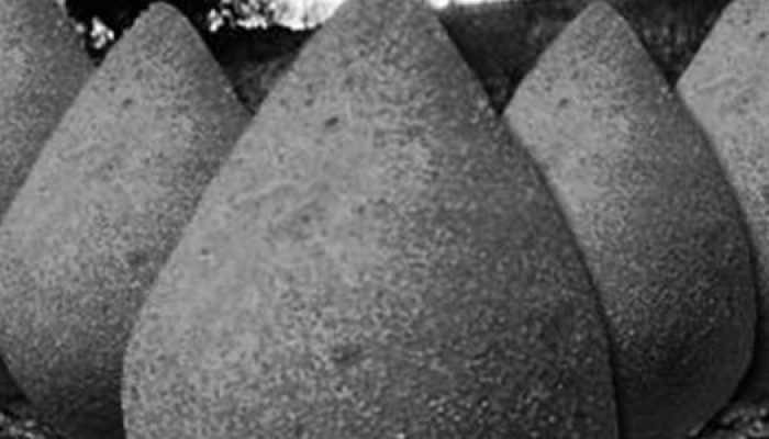 foto-da-pagina-de-humor-sebastiao-salgados-1748020026426_v2_615x300.jpg foto-da-pagina-de-humor-sebastiao-salgados-1748020026426_v2_615x300.jpg
