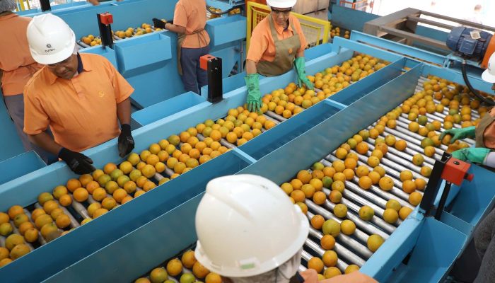 gov_parana.jpg gov_parana.jpg