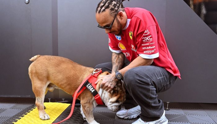 horas-assustadoras-hamilton-se-2.jpg horas-assustadoras-hamilton-se-2.jpg