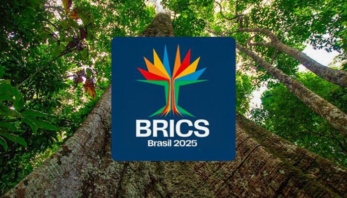 identidade_visual_do_brics_brasil.jpg