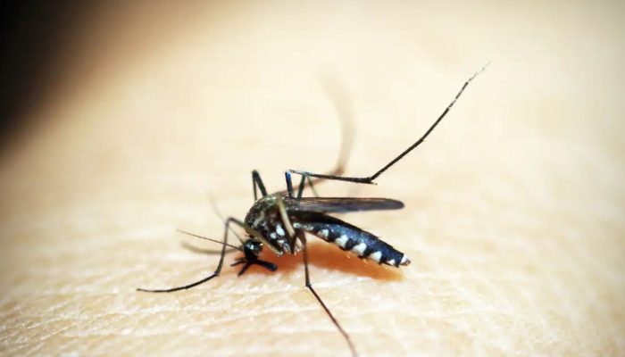 imagem-7.jpg imagem-7.jpg