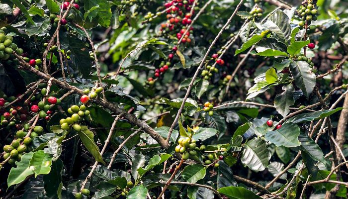 imagem_do_whatsapp_de_2023-10-01_as_10.57.51_8109254a.jpg imagem_do_whatsapp_de_2023-10-01_as_10.57.51_8109254a.jpg