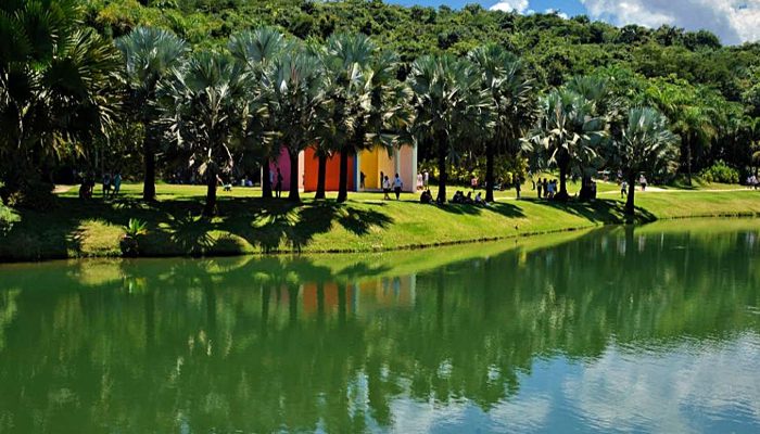 instituto_inhotim_0.jpg