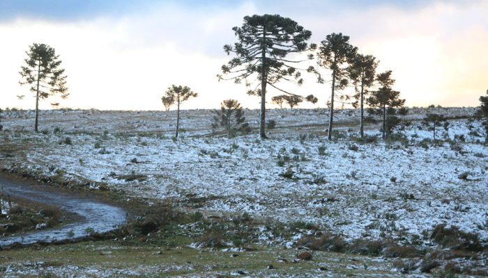 inverno.png inverno.png