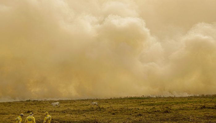 ja_2884.jpg ja_2884.jpg