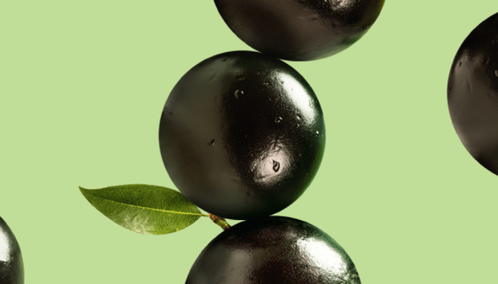 jabuticaba.png