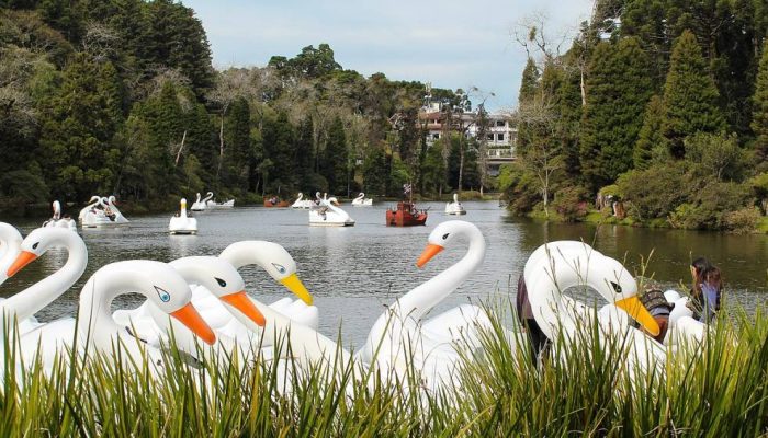 lago-negro-gramado.jpg lago-negro-gramado.jpg