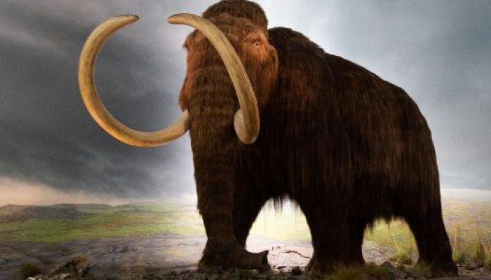 mammuthus-primigenius-mamute-lanoso-1644518564568_v2_615x300.jpg