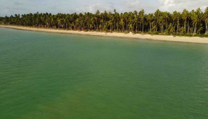 maragogi-1000×600.jpg maragogi-1000x600.jpg