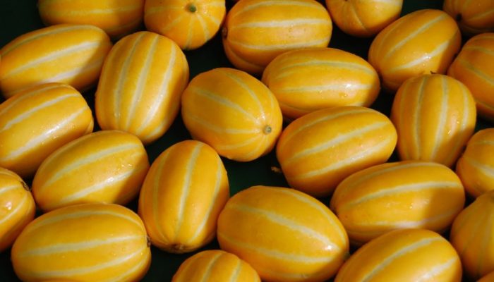 melao-coreano.jpg melao-coreano.jpg