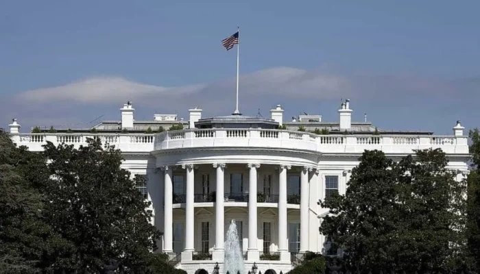 naom_55d3a525d1242.webp.webp naom_55d3a525d1242.webp.webp