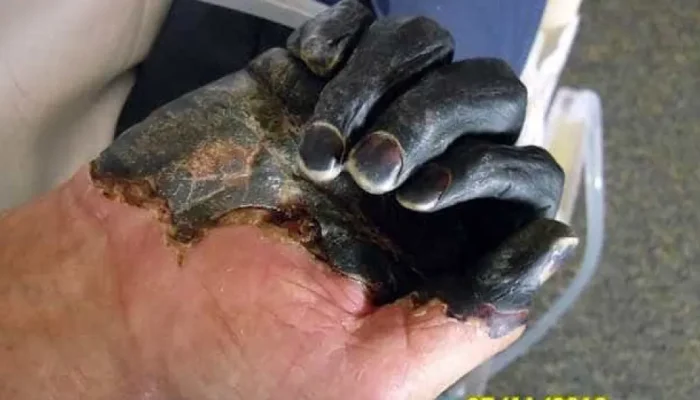 naom_562a209b8ad1e.webp.webp naom_562a209b8ad1e.webp.webp