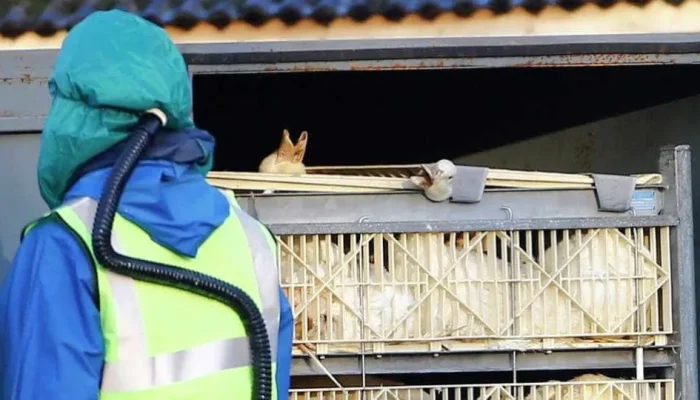 naom_586623196c1d5.webp.webp naom_586623196c1d5.webp.webp