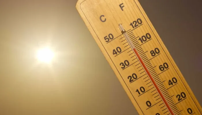 naom_5966296d43d43.webp.webp naom_5966296d43d43.webp.webp